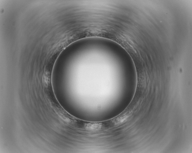 X0000086950135200704161503