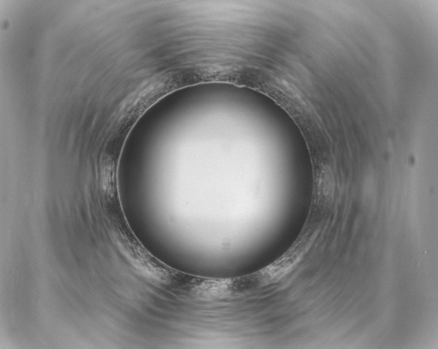 X0000086950138200704161503