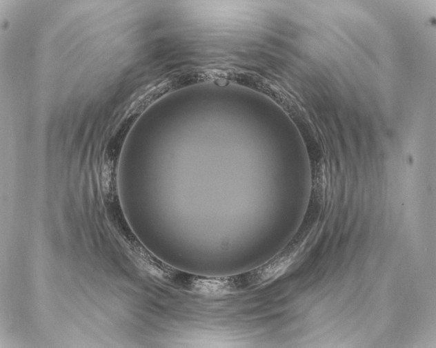 X0000086950139200704161503