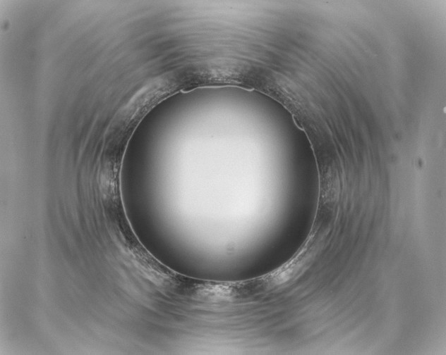 X0000086950140200704161503