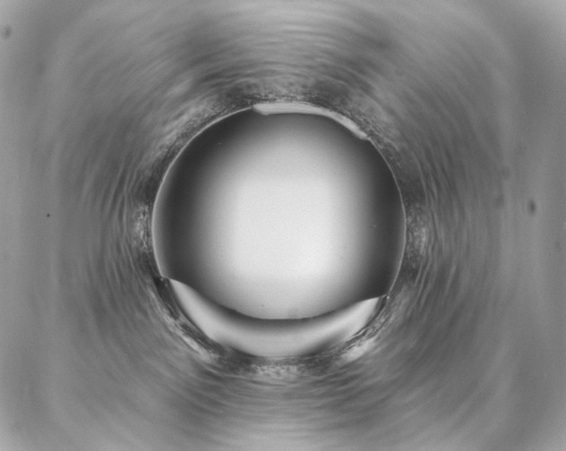 X0000086950141200704161503