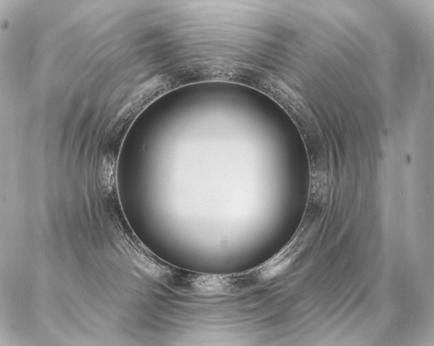 X0000086950142200704161503