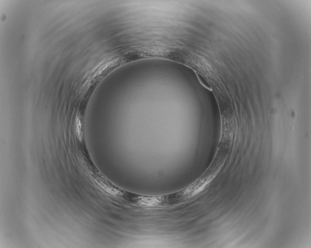 X0000086950143200704161503