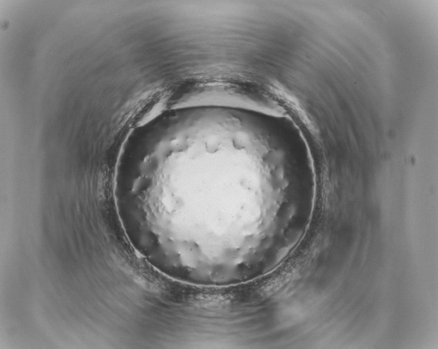 X0000086950161200704161502