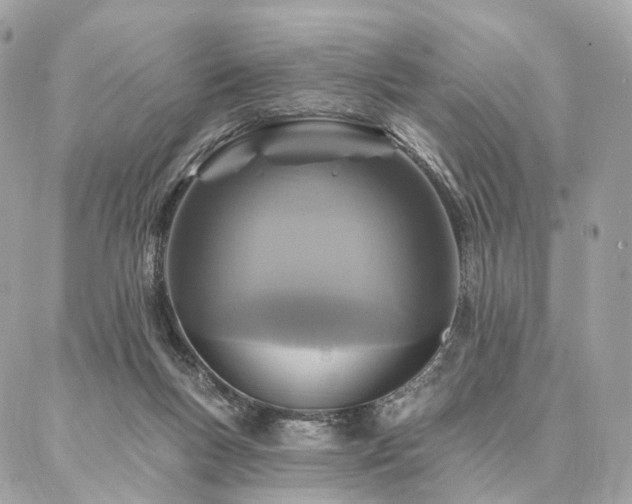X0000086950167200704161502