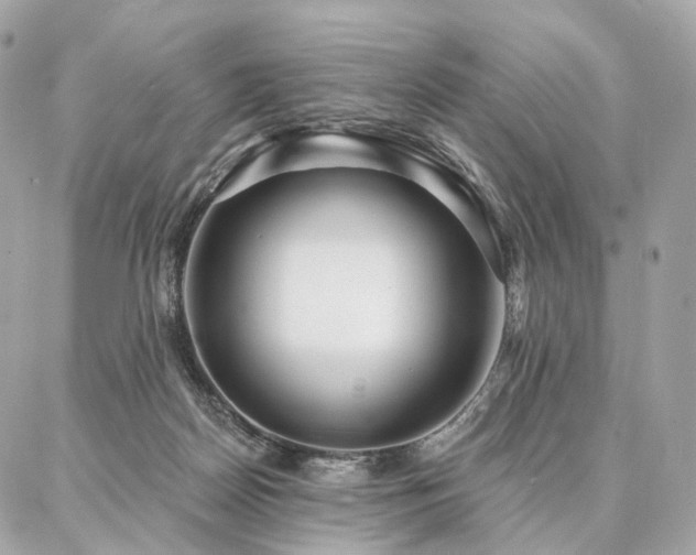X0000086950170200704161502