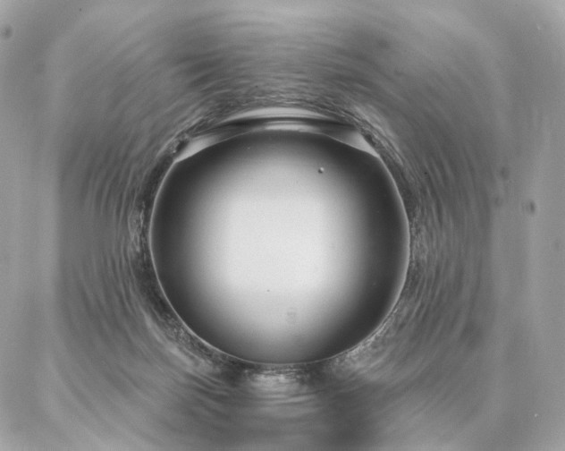 X0000086950171200704161502
