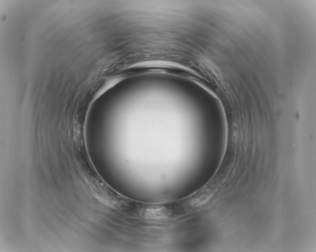 X0000086950173200704161503
