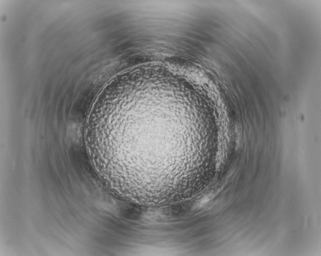 X0000086950177200704161503