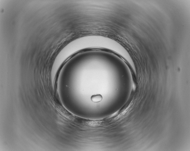 X0000086950184200704161503