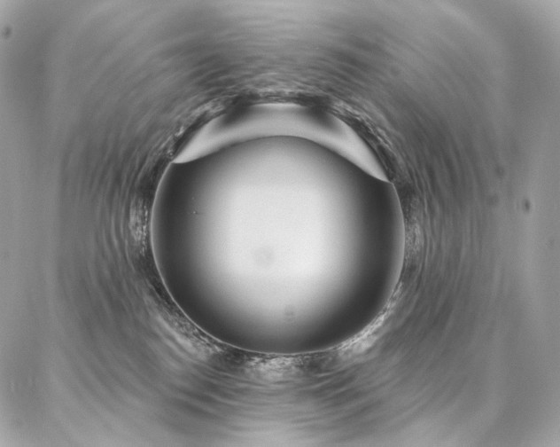 X0000086950186200704161503