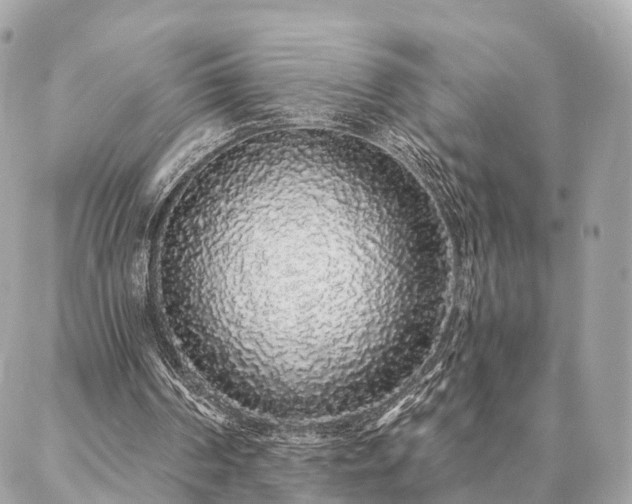 X0000086950194200704161502