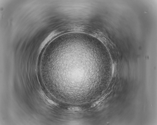 X0000086950195200704161502