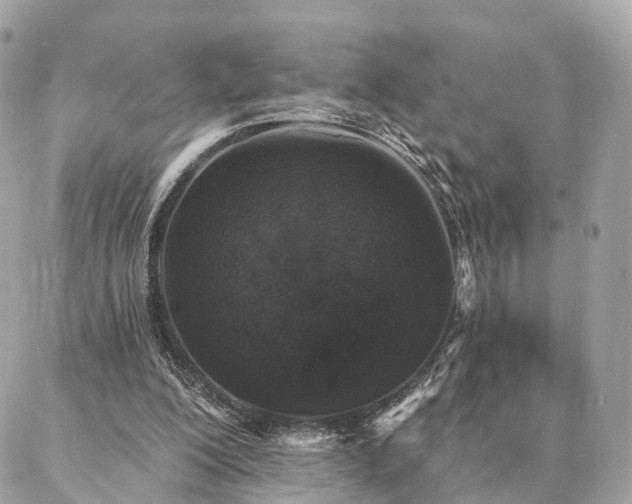 X0000086950200200704161502