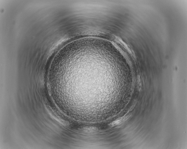 X0000086950203200704161502