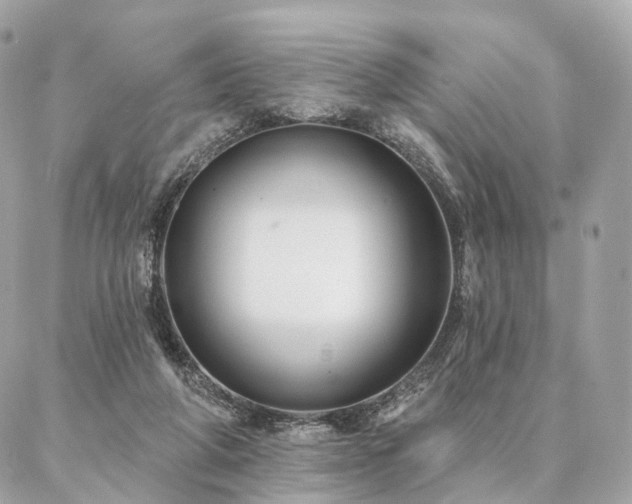 X0000086950210200704161502