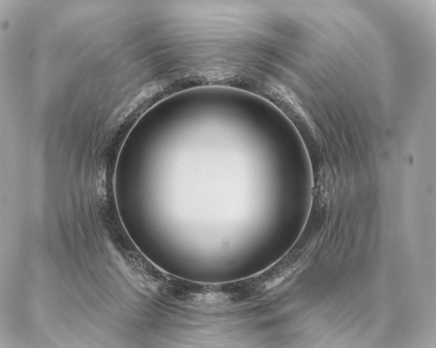 X0000086950212200704161502