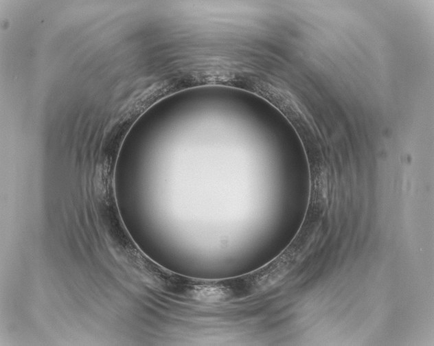 X0000086950218200704161502