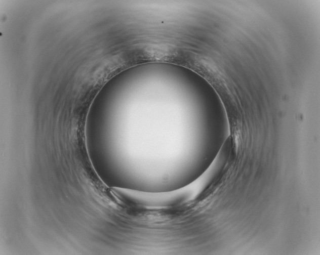 X0000086950221200704161502