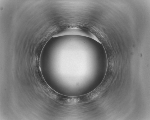 X0000086950225200704161502
