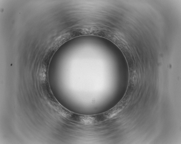 X0000086950226200704161502