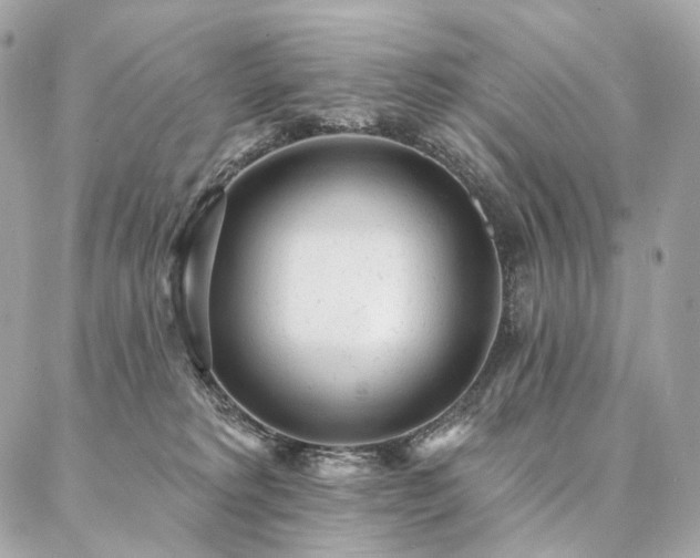 X0000086950229200704161501