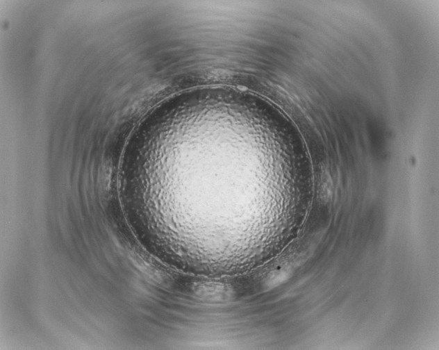 X0000086950230200704161501