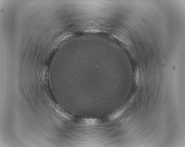 X0000086950233200704161501