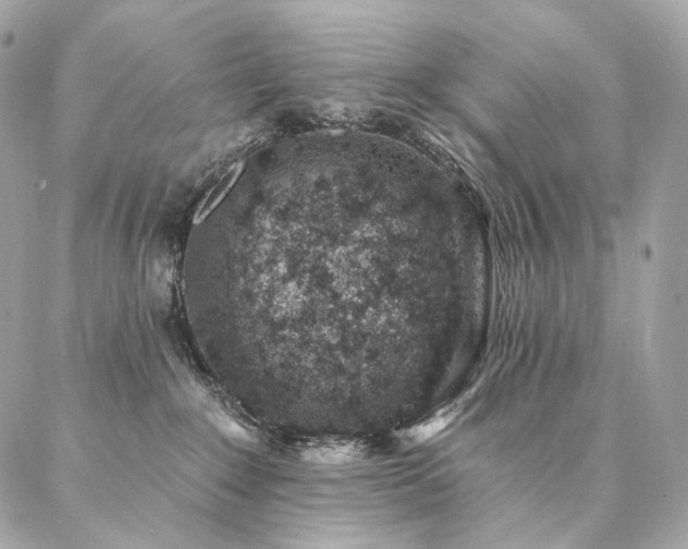 X0000086950235200704161501