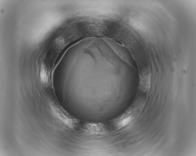 X0000086950239200704161501