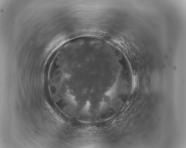 X0000086950243200704161501