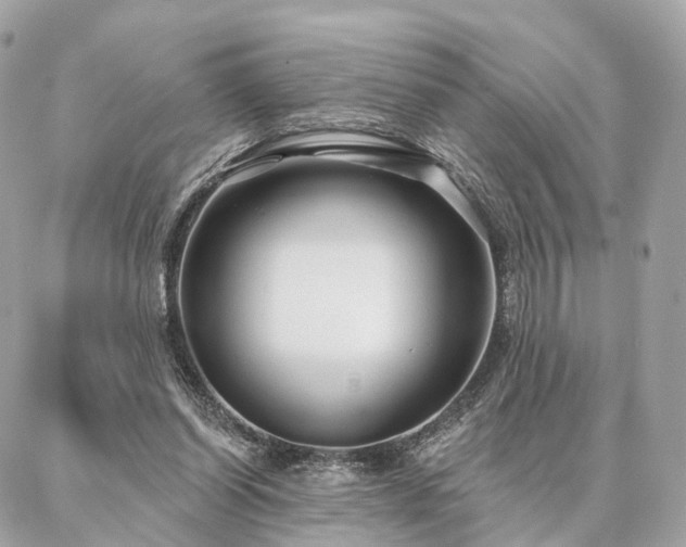 X0000086950254200704161501