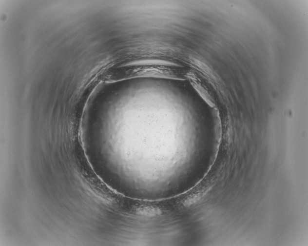 X0000086950258200704161501