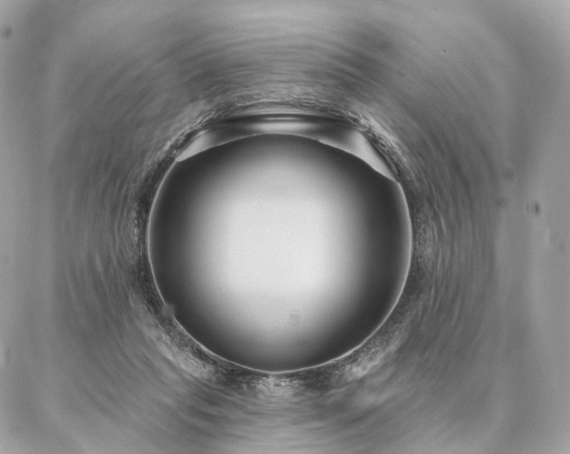X0000086950261200704161501