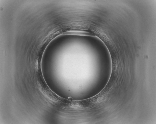 X0000086950262200704161501