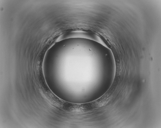 X0000086950263200704161501