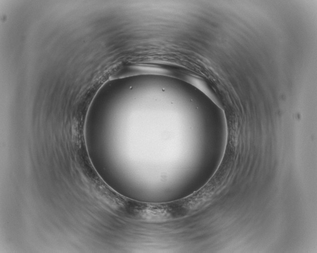 X0000086950270200704161501