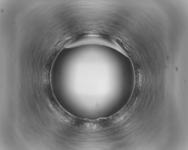 X0000086950272200704161501
