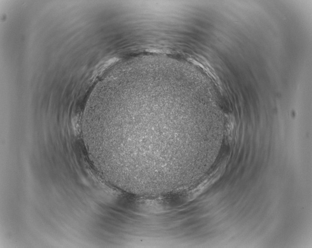 X0000086950285200704161501