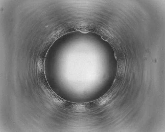 X0000086950287200704161501