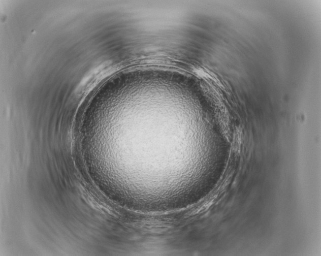 X0000086950290200704161500