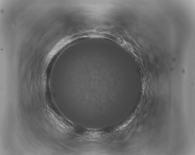 X0000086950295200704161500