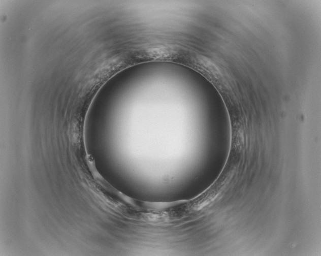 X0000086950317200704161500