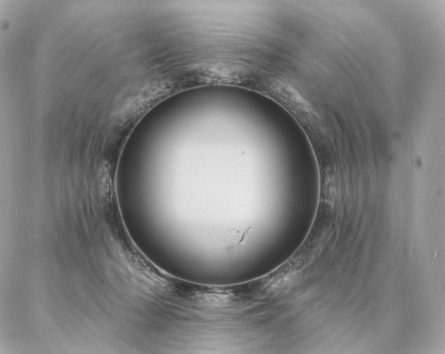 X0000086950318200704161500