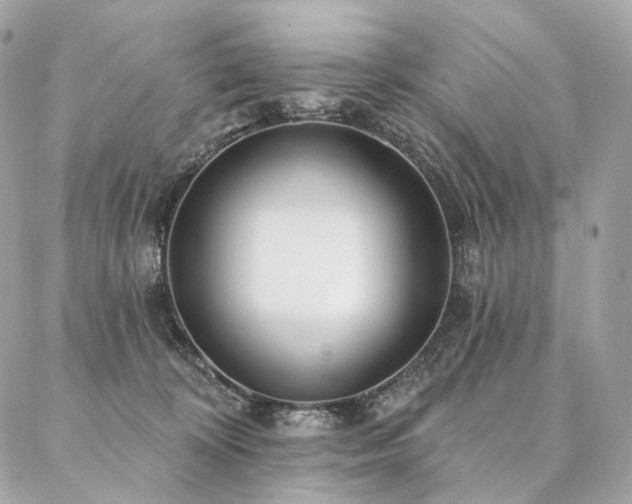 X0000086950324200704161500