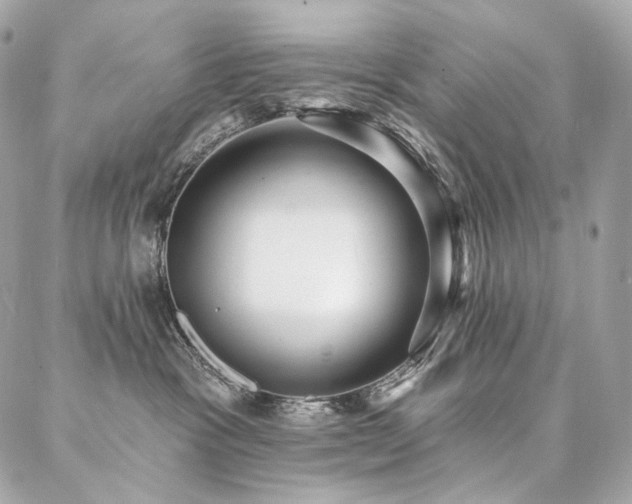 X0000086950333200704161500