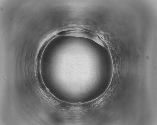 X0000086950342200704161459