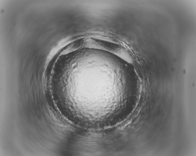 X0000086950343200704161459