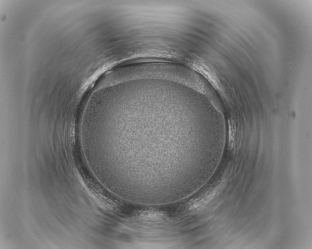X0000086950348200704161459