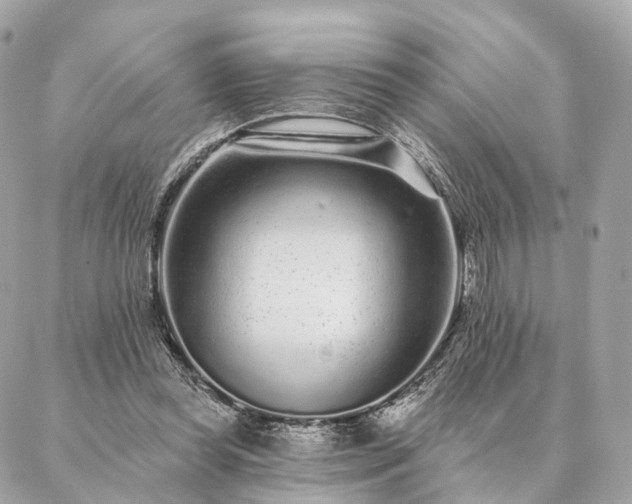 X0000086950349200704161459